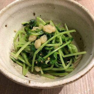 豆苗お浸し